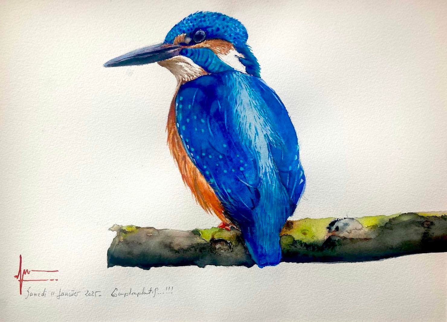 Aquarelle vedette — Thomas Favier